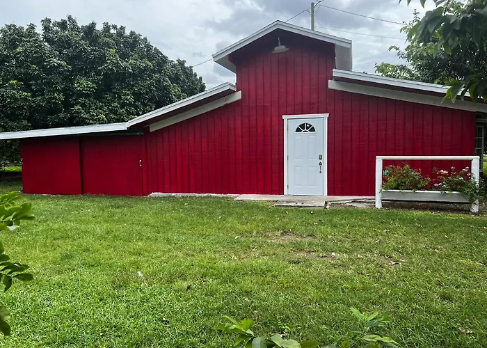 Tiny Farm Retreat Near Miami, Nature And Animal Experience