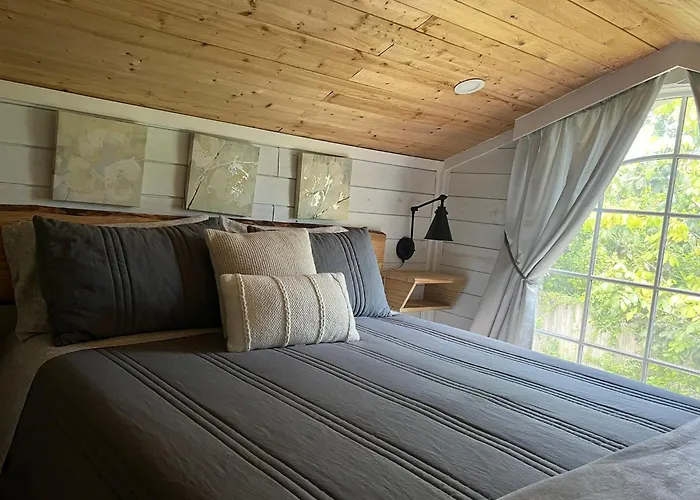 Tiny Farm Retreat Near Miami, Nature And Animal Experience
