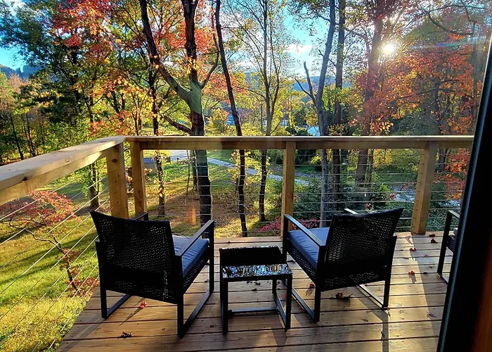 Piedmont Grove