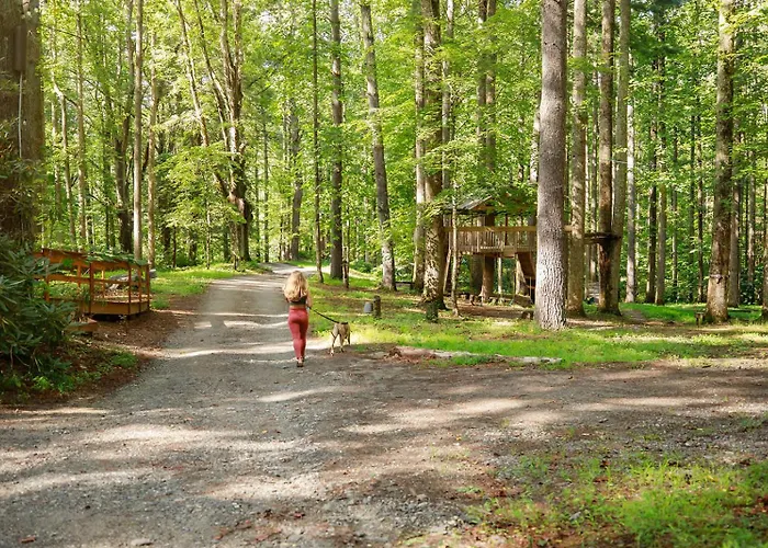 Summer Breeze Cabin At Cabin Fever In Nc