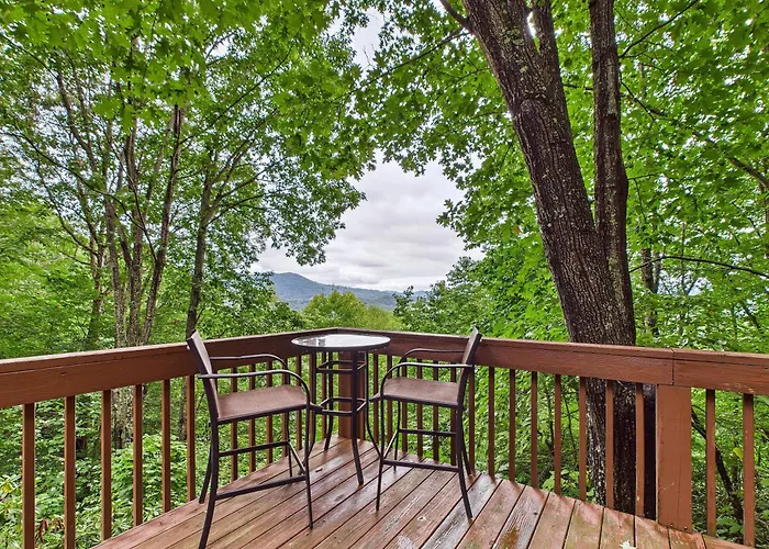 Top Of The Line Asheville Mountain Cabin