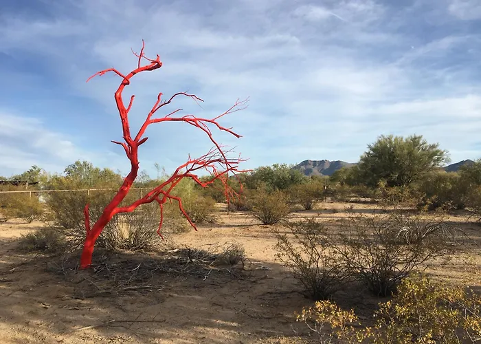 The Island In Tucson