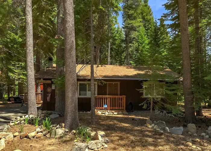 Coziness Cabin - Cute Little Cabin In The Tahoe Woods