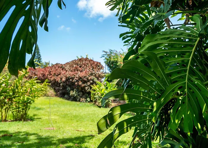 2 Mi To Hana Hwy: Haiku Home W/ Ocean Views!