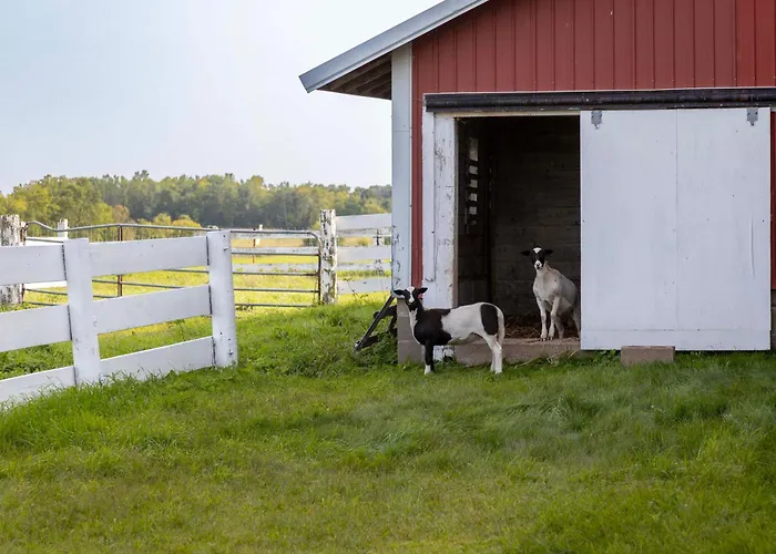 Historic Farmhouse W/ Fire Pit: Pet Friendly!