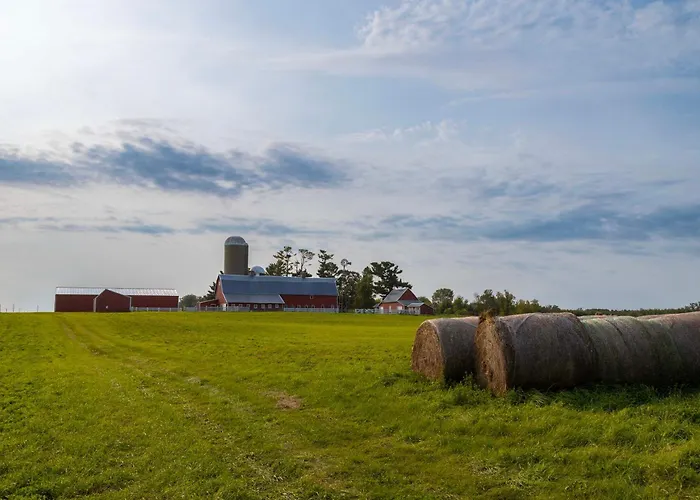 Historic Farmhouse W/ Fire Pit: Pet Friendly!