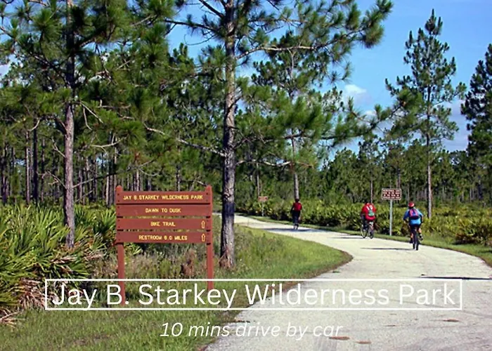 New Steps To Downtown - 7 Mins To Beach & Free Parking