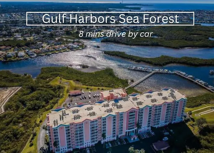 New Steps To Downtown - 7 Mins To Beach & Free Parking