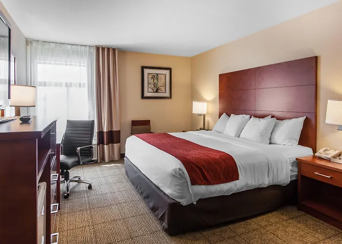 Comfort Inn & Suites Near Fallon Naval Air Station