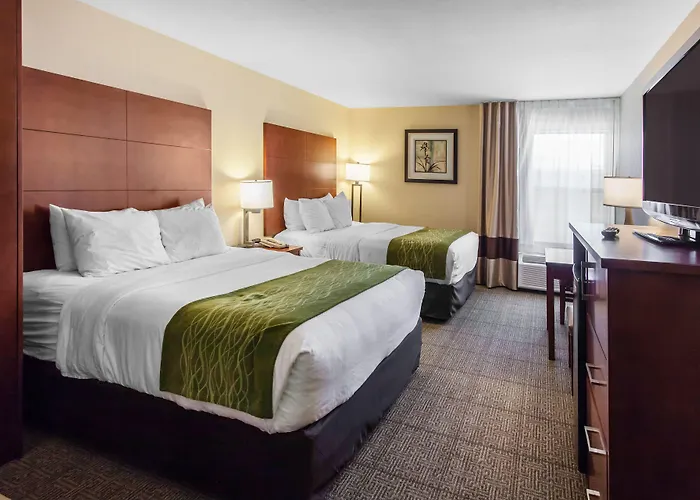 Comfort Inn & Suites Near Fallon Naval Air Station