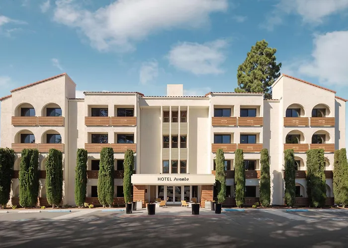 Avante, A Jdv By Hyatt Hotel