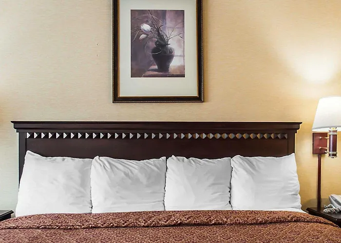Econo Lodge Elmira-Corning