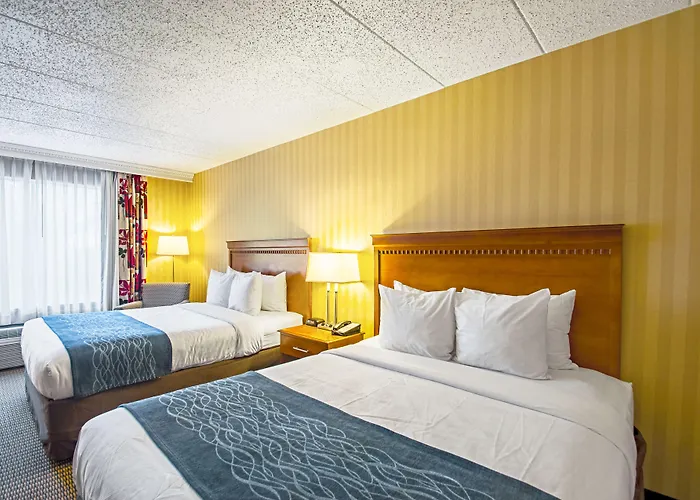 Comfort Inn Falls Church - Tysons Corner