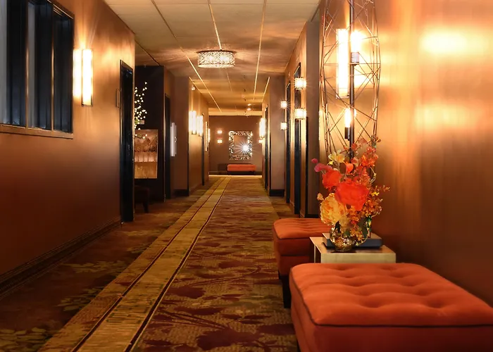 Centerstone Plaza Hotel Soldiers Field - Mayo Clinic Area