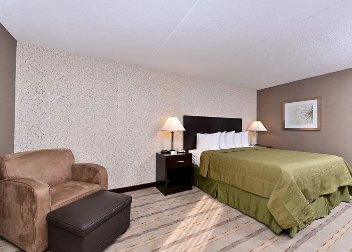 Quality Inn & Suites Matteson Near I-57