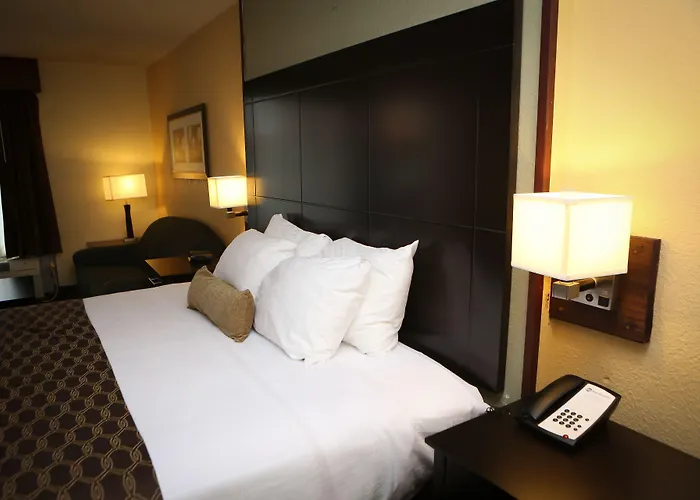 Best Western Inn Of Del Rio
