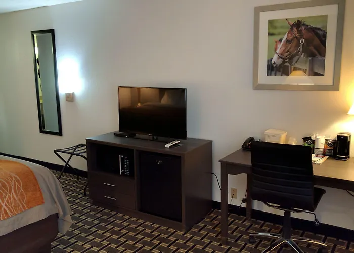 Spark By Hilton Lexington Hamburg