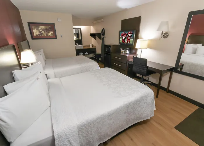 Red Roof Inn Plus+ Columbus-Ohio State University Osu