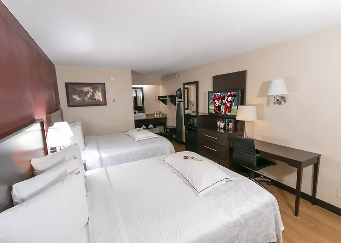 Red Roof Inn Plus+ Columbus-Ohio State University Osu