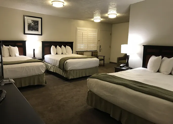 Dinosaur Inn & Suites