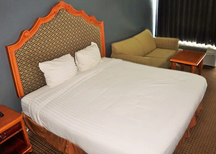 Hotel Elev8