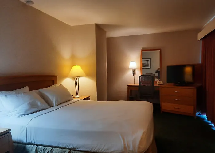 Rivertree Inn & Suites