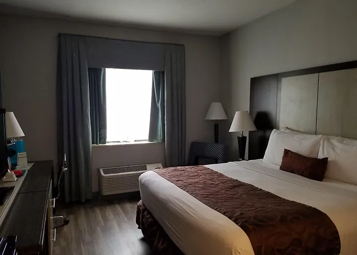 Wyndham Garden Hotel - Jacksonville
