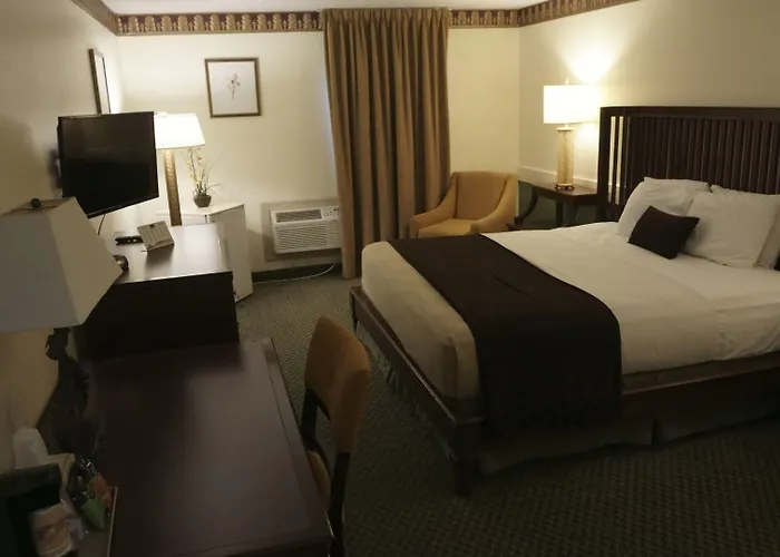 Wingate By Wyndham Murfreesboro-Near Mtsu