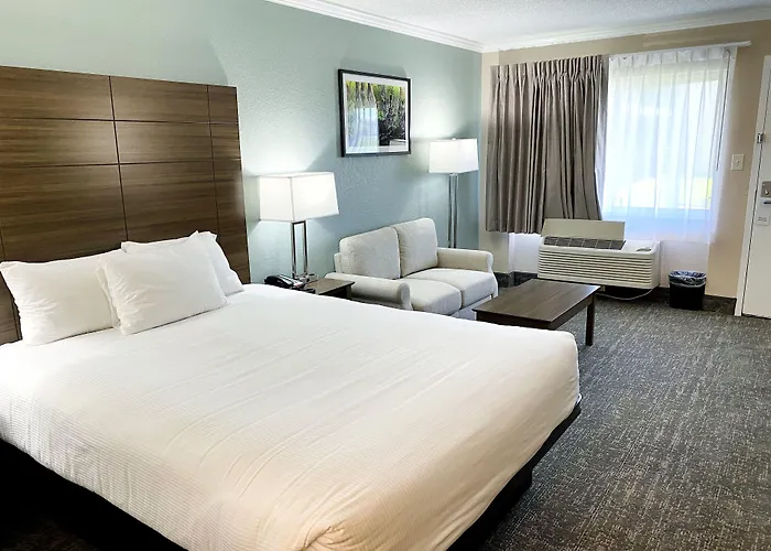 Roadstar Hotel Zephyrhills-Dade City-Wesley Chapel Area