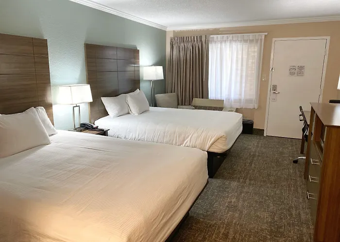 Roadstar Hotel Zephyrhills-Dade City-Wesley Chapel Area