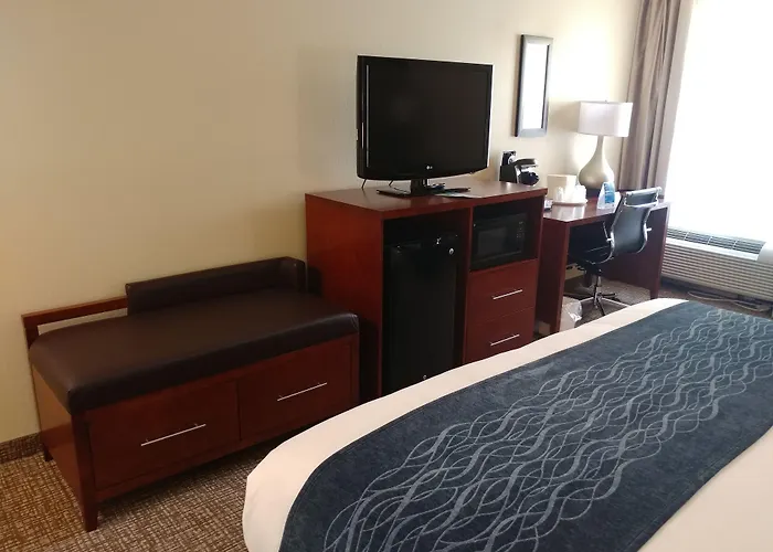 Comfort Inn Ocala Silver Springs