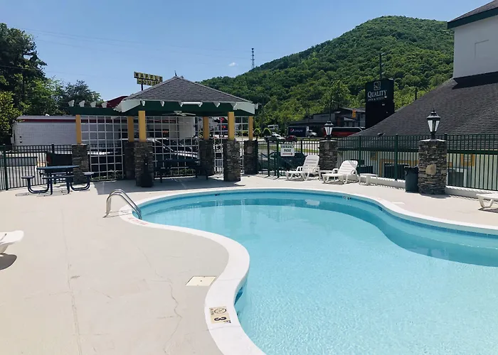 Quality Inn & Suites Biltmore East