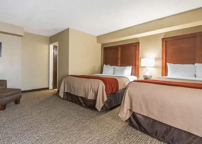 Comfort Inn & Suites Lexington - Hamburg I-75