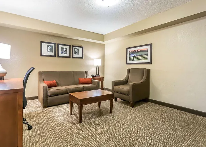 Comfort Inn & Suites Lexington - Hamburg I-75