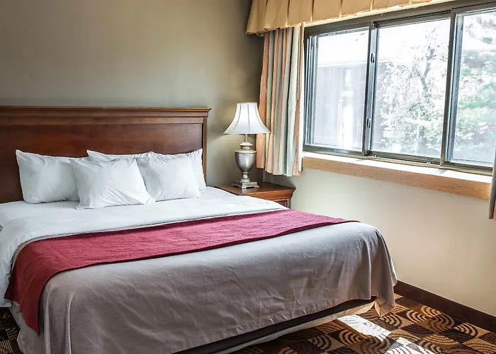 Comfort Inn & Suites Indianapolis Northwest - College Park