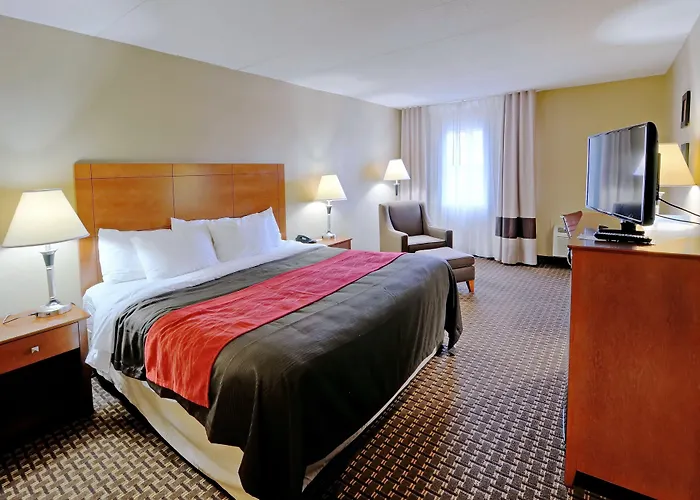 Comfort Inn & Suites Raphine - Lexington Near I-81 And I-64