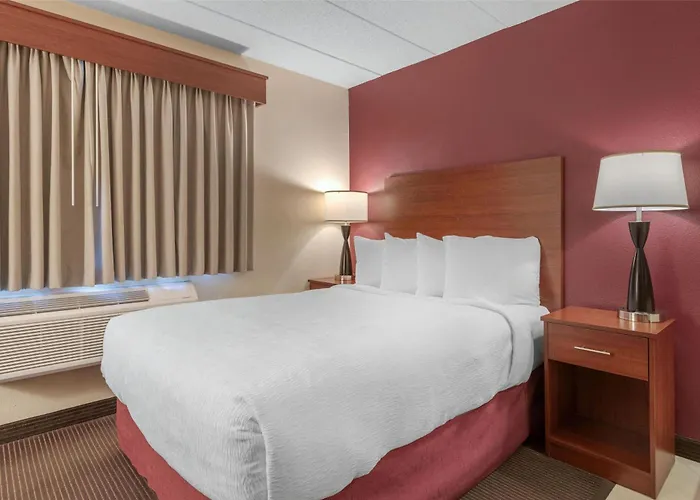 Surestay Plus Hotel By Best Western Litchfield
