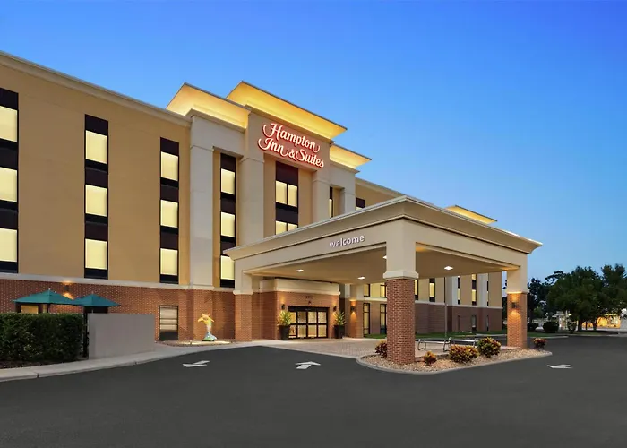 Hampton Inn & Suites By Hilton Tampa Busch Gardens Area