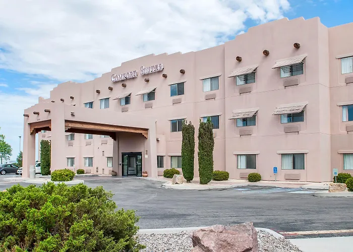 Comfort Suites University