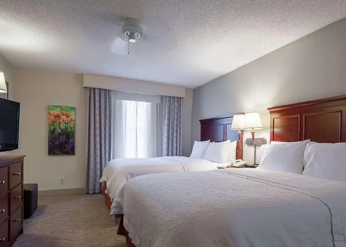 Hampton Inn&Suites Williamsburg-Richmond Road