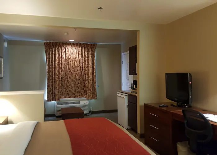 Comfort Inn & Suites Sequoia Kings Canyon
