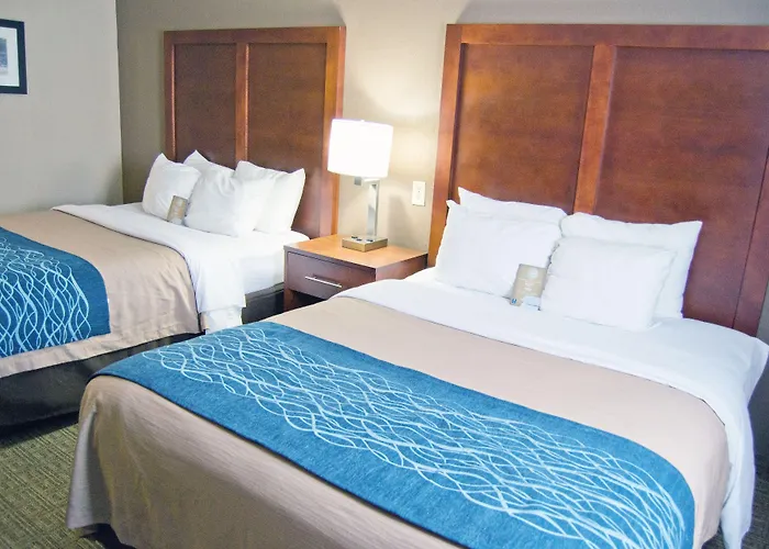 Comfort Inn University