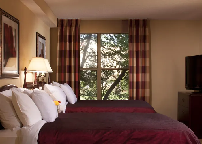 Homewood Suites By Hilton Mobile Airport-University Area