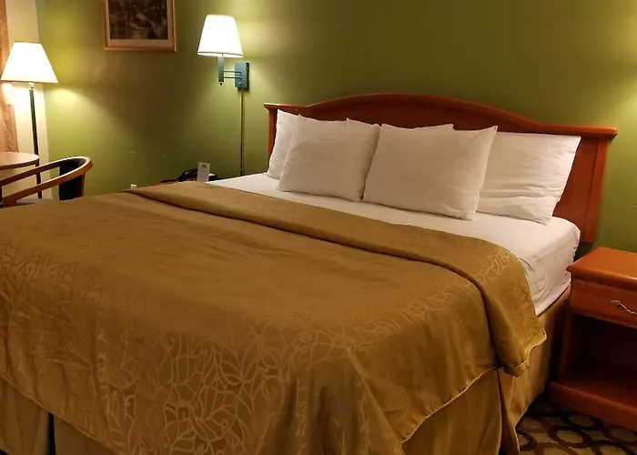 Economy Inn By Oyo Ashburn I-75
