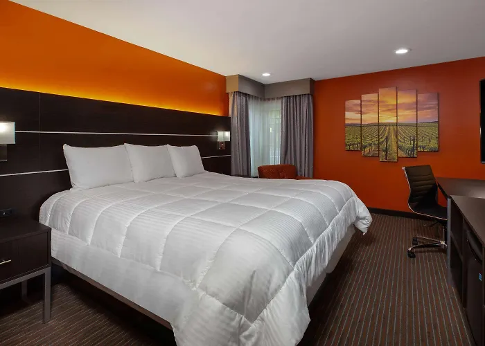 Hotel Vinea Healdsburg