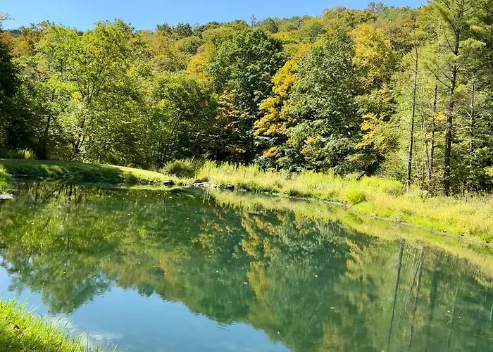 Seven Springs Hideaway Ski In And Out Pet Friendly