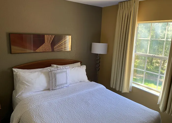 Mainstay Suites Tampa Moffitt-Usf