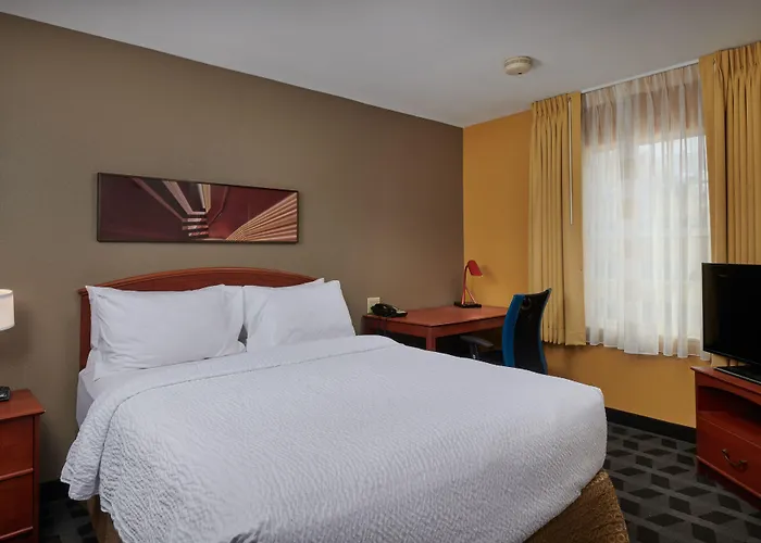 Mainstay Suites Tampa Moffitt-Usf