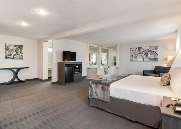 American Inn & Suites Metro Airport