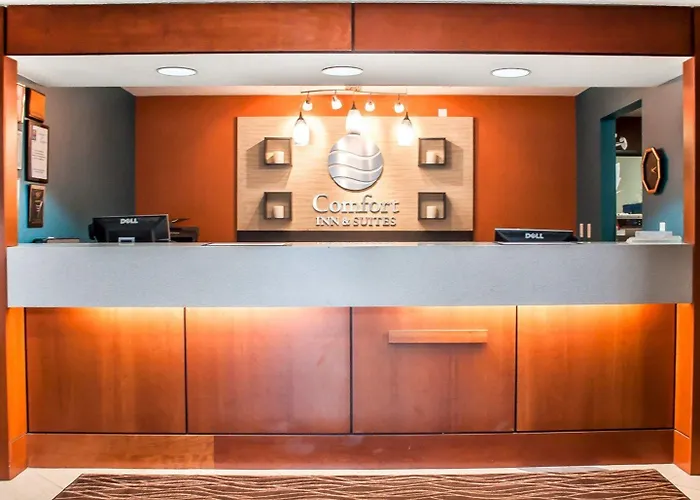 Comfort Inn & Suites Hamburg - Buffalo South